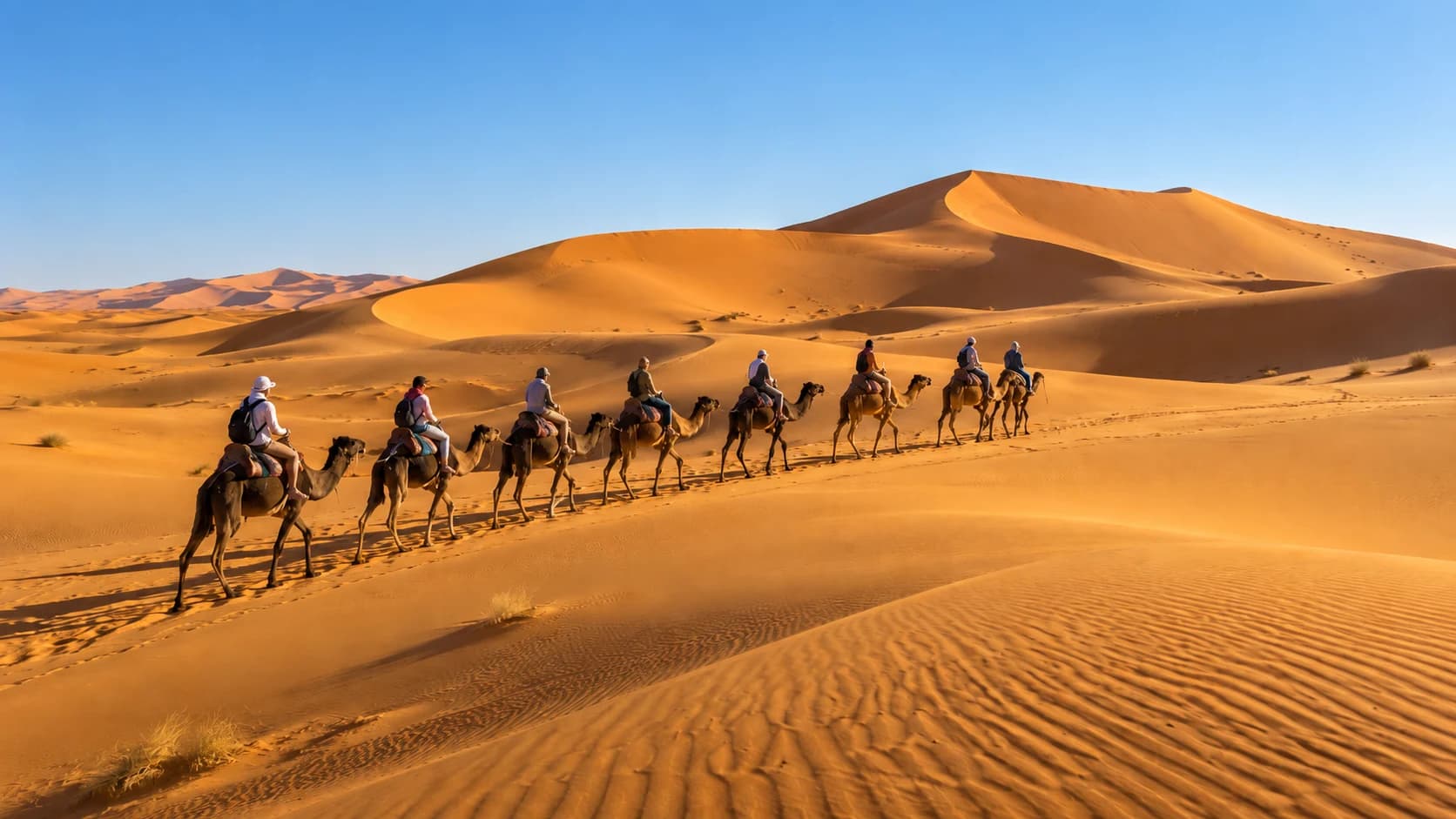 Caravane de dromadaires dans les dunes de l’Erg Chigaga